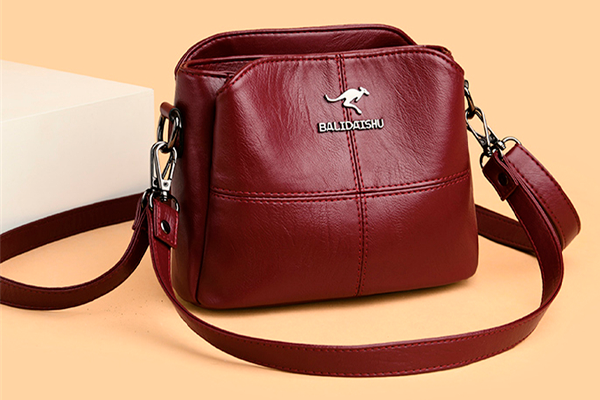 Leather Crossbody Bag - Bally